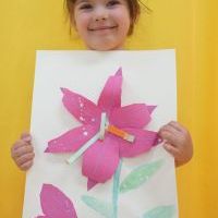 LILIE (4)