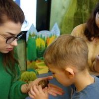 ŚLIMAK ŚLMAK POKAŻ ROGI (7)
