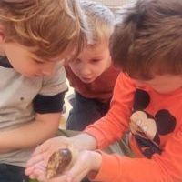 ŚLIMAK ŚLMAK POKAŻ ROGI (9)