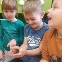 ŚLIMAK ŚLMAK POKAŻ ROGI (10)