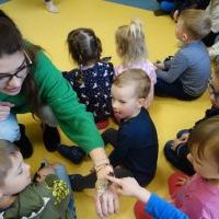 ŚLIMAK ŚLMAK POKAŻ ROGI (14)