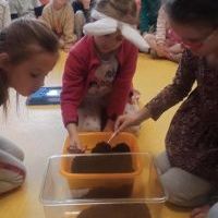 ŚLIMAK ŚLMAK POKAŻ ROGI (4)
