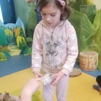 ŚLIMAK ŚLMAK POKAŻ ROGI (5)
