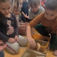 ŚLIMAK ŚLMAK POKAŻ ROGI (6)
