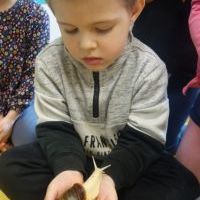 ŚLIMAK ŚLMAK POKAŻ ROGI (10)