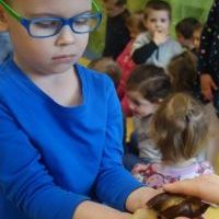 ŚLIMAK ŚLMAK POKAŻ ROGI (11)