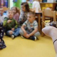 ŚLIMAK ŚLMAK POKAŻ ROGI (13)