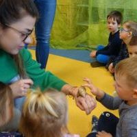ŚLIMAK ŚLMAK POKAŻ ROGI (15)