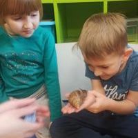 ŚLIMAK ŚLMAK POKAŻ ROGI (3)