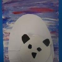POLARNE MISIE (1)