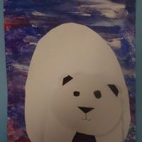POLARNE MISIE (4)
