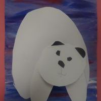 POLARNE MISIE (5)