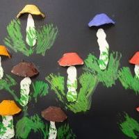 GRZYBOBRANIE (3)