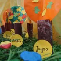 JESIENIĄ W LESIE (2)