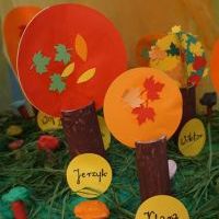 JESIENIĄ W LESIE (4)