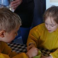 WIERZBOWE KOTKI (9)
