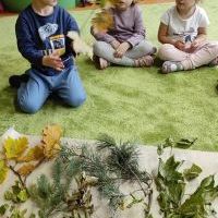 PODARUNEK OD DRZEWA (5)