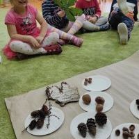 PODARUNEK OD DRZEWA (7)