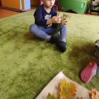 PODARUNEK OD DRZEWA (9)