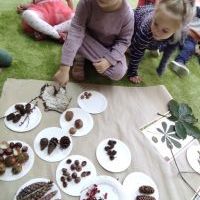 PODARUNEK OD DRZEWA (10)