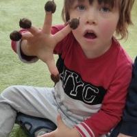 PODARUNEK OD DRZEWA (11)
