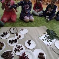 PODARUNEK OD DRZEWA (13)