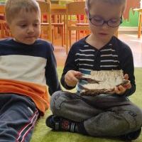 PODARUNEK OD DRZEWA (14)