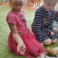 PODARUNEK OD DRZEWA (1)