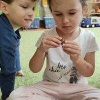 PODARUNEK OD DRZEWA (2)