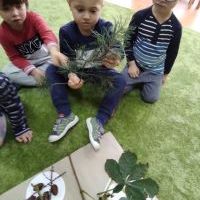 PODARUNEK OD DRZEWA (3)