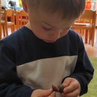 PODARUNEK OD DRZEWA (4)