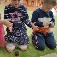 PODARUNEK OD DRZEWA (5)
