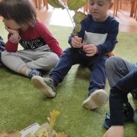 PODARUNEK OD DRZEWA (7)