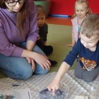 ŻABKI MYDŁO I BAKTERIE (2)
