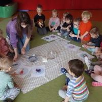ŻABKI MYDŁO I BAKTERIE (3)