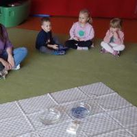 ŻABKI MYDŁO I BAKTERIE (7)