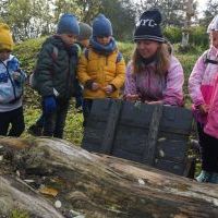 SŁONECZKA I TYGRYSY OBSERWUJĄ ZMIANY W PRZYRODZIE (1)