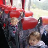 SŁONECZKA I TYGRYSY OBSERWUJĄ ZMIANY W PRZYRODZIE (4)