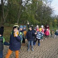 SŁONECZKA I TYGRYSY OBSERWUJĄ ZMIANY W PRZYRODZIE (7)