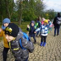 SŁONECZKA I TYGRYSY OBSERWUJĄ ZMIANY W PRZYRODZIE (8)
