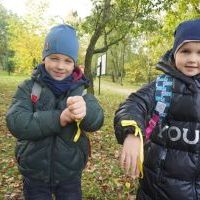 SŁONECZKA I TYGRYSY OBSERWUJĄ ZMIANY W PRZYRODZIE (11)