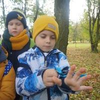 SŁONECZKA I TYGRYSY OBSERWUJĄ ZMIANY W PRZYRODZIE (12)