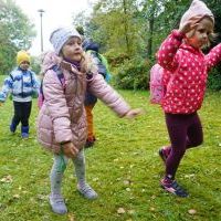 SŁONECZKA I TYGRYSY OBSERWUJĄ ZMIANY W PRZYRODZIE (1)