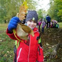 SŁONECZKA I TYGRYSY OBSERWUJĄ ZMIANY W PRZYRODZIE (8)