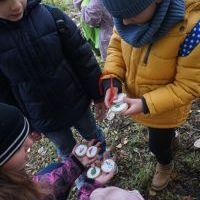 SŁONECZKA I TYGRYSY OBSERWUJĄ ZMIANY W PRZYRODZIE (9)