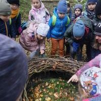 SŁONECZKA I TYGRYSY OBSERWUJĄ ZMIANY W PRZYRODZIE (10)