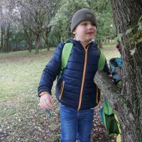 SŁONECZKA I TYGRYSY OBSERWUJĄ ZMIANY W PRZYRODZIE (11)