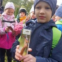 SŁONECZKA I TYGRYSY OBSERWUJĄ ZMIANY W PRZYRODZIE (14)