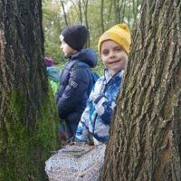SŁONECZKA I TYGRYSY OBSERWUJĄ ZMIANY W PRZYRODZIE (15)