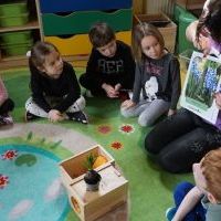 WIOSNA TUŻ TUŻ (1)